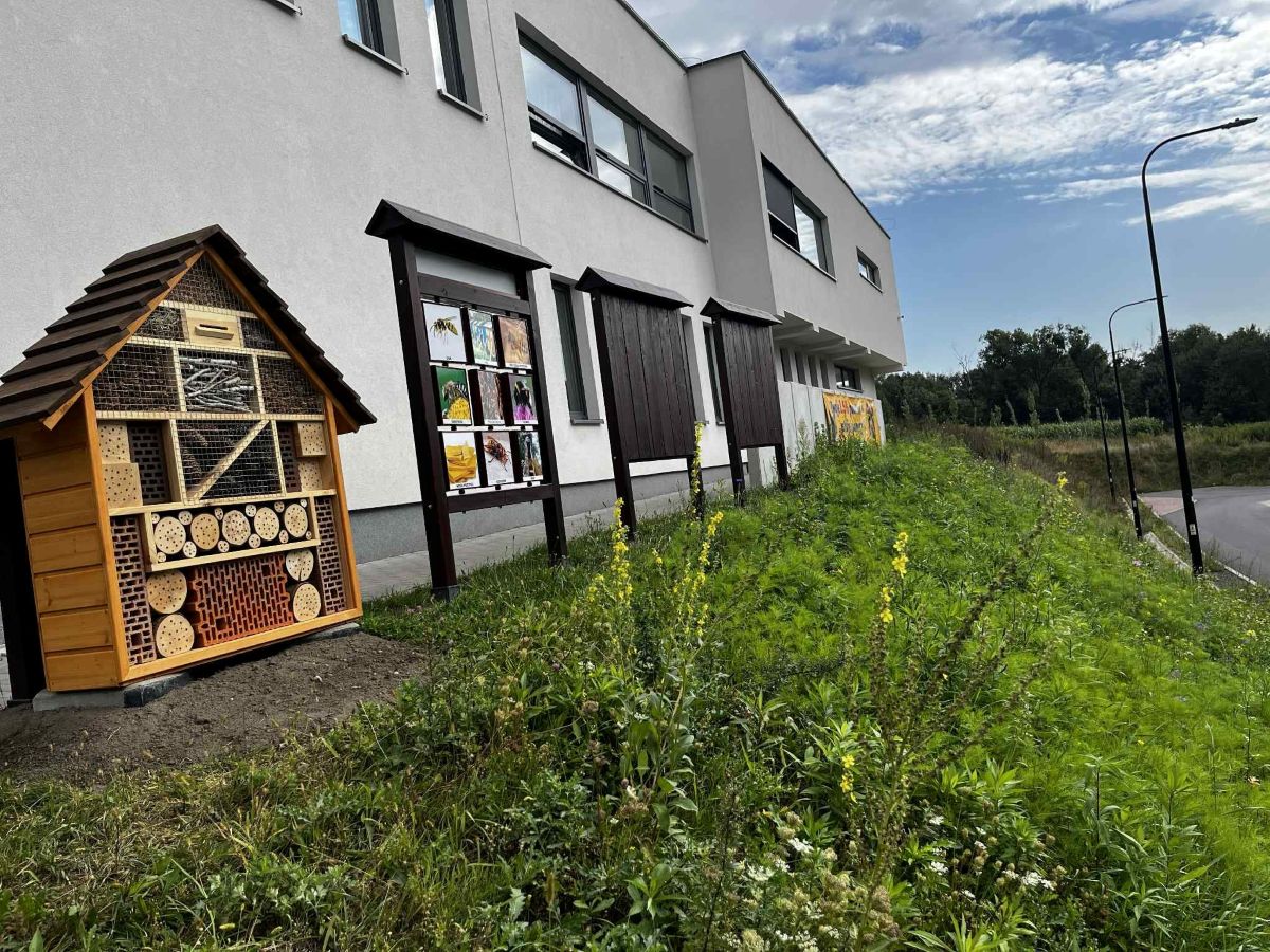 Przy schronisku Psitulmnie powstała kwietna łąka! [ZDJĘCIA]