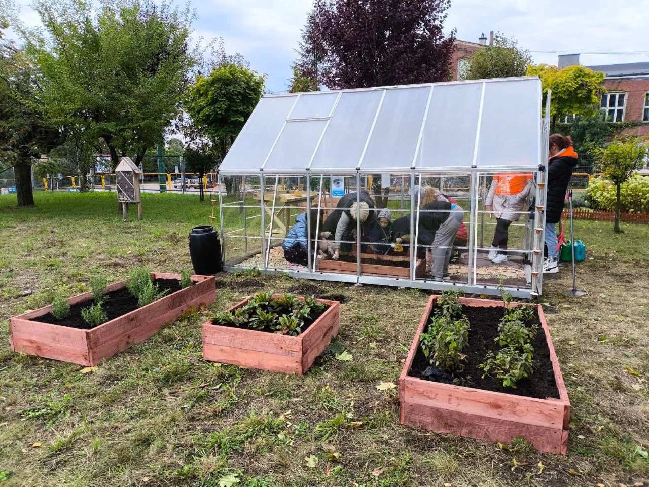 Zielona inicjatywa w „Dziesiątce” – szkolna szklarnia rośnie w siłę