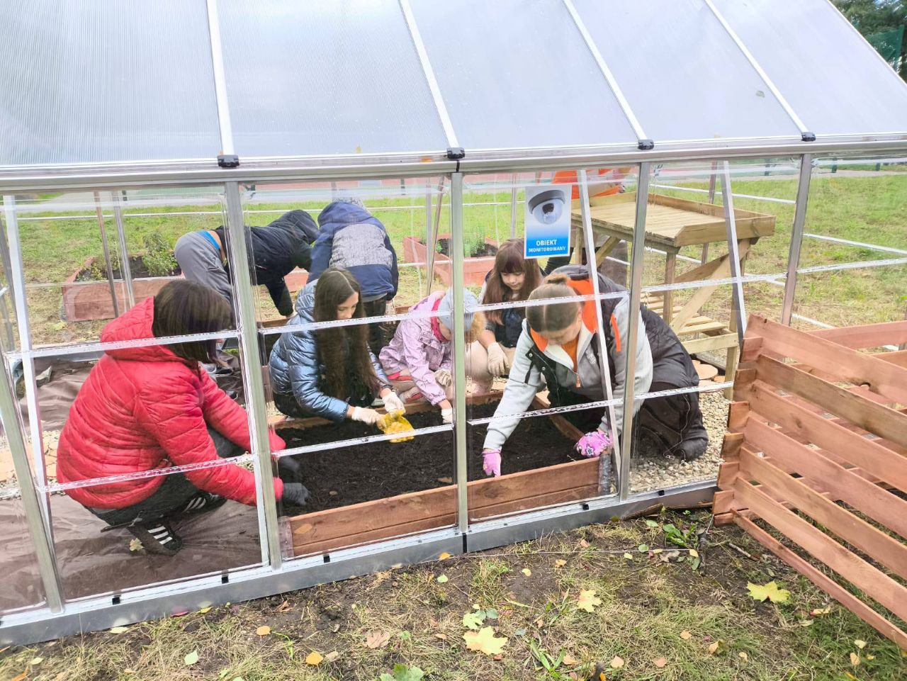 Zielona inicjatywa w „Dziesiątce” – szkolna szklarnia rośnie w siłę