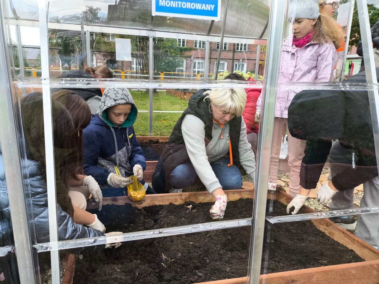 Zielona inicjatywa w „Dziesiątce” – szkolna szklarnia rośnie w siłę