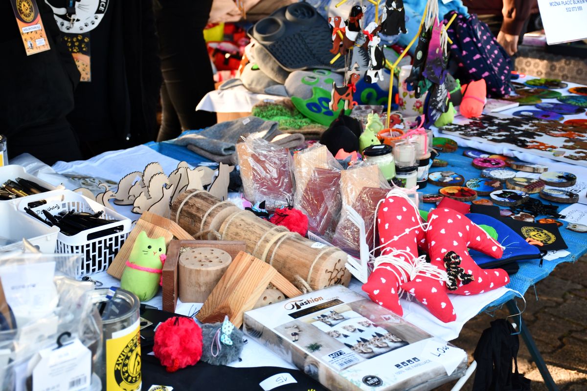 Zwierzogranie i Piknik Organizacji Pozarządowych 6