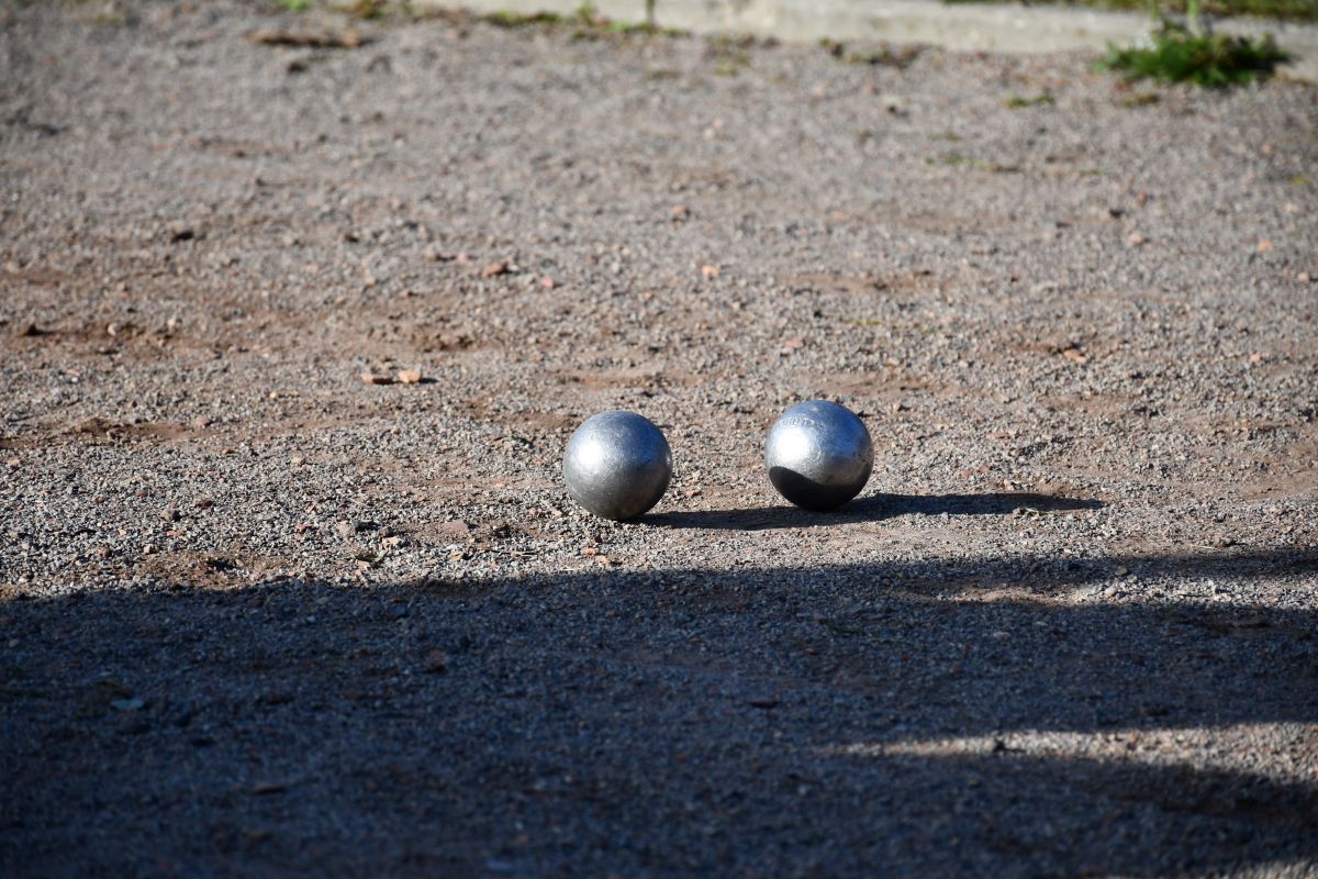 Zwierzogranie i Piknik Organizacji Pozarządowych 10