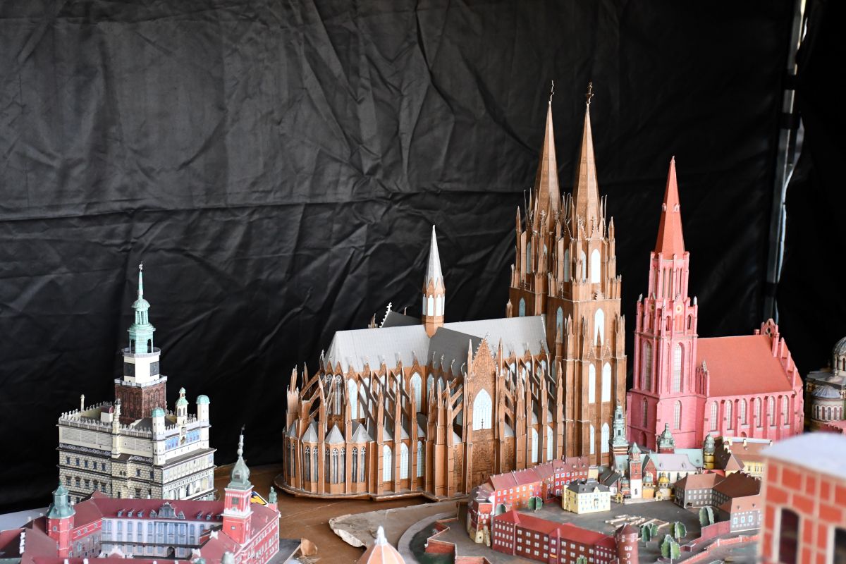 Zwierzogranie i Piknik Organizacji Pozarządowych 15