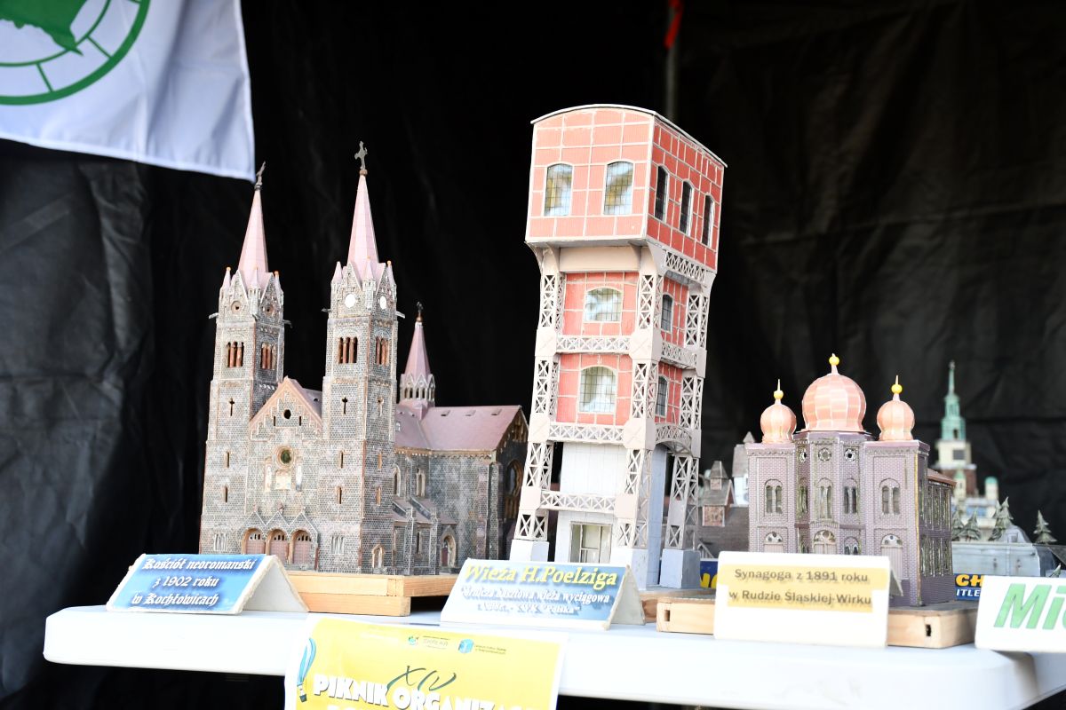 Zwierzogranie i Piknik Organizacji Pozarządowych 16