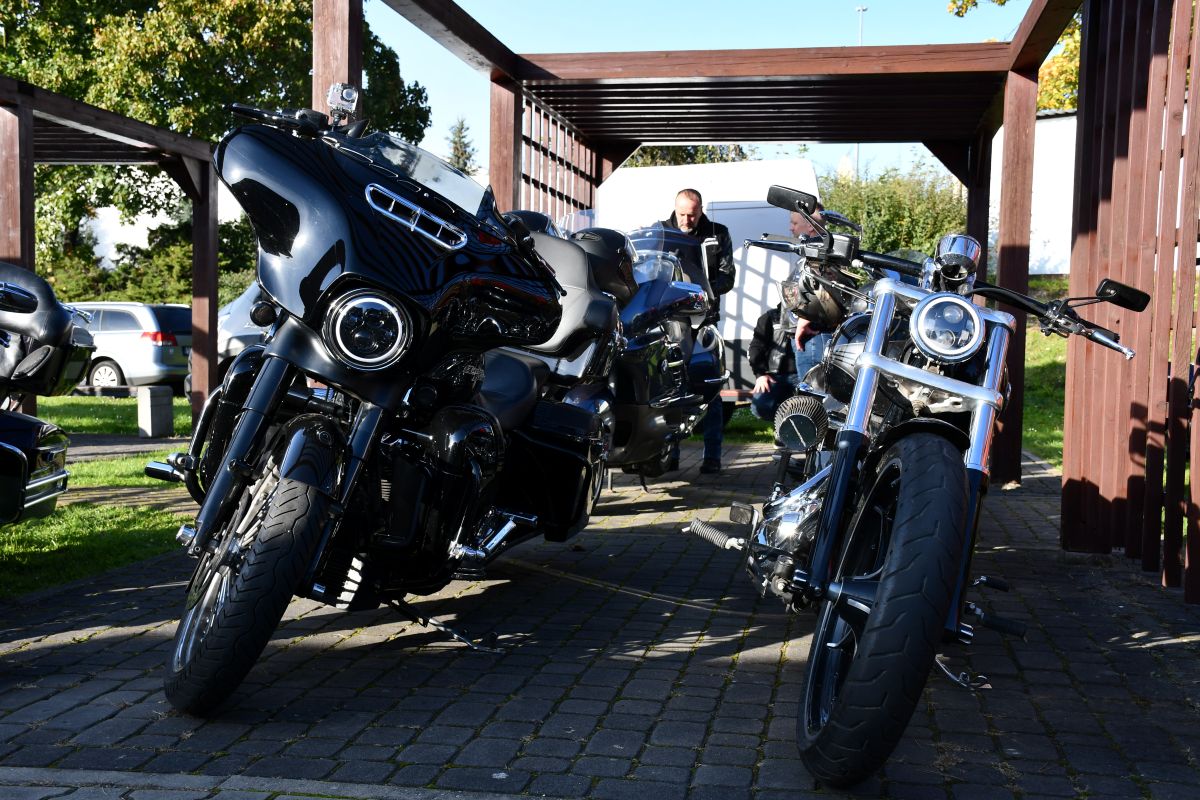 Zwierzogranie i Piknik Organizacji Pozarządowych 19