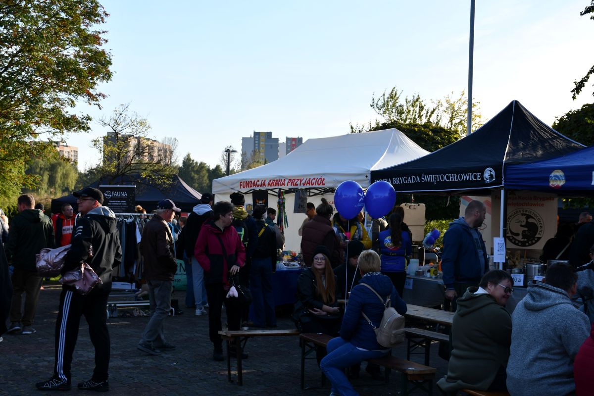 Zwierzogranie i Piknik Organizacji Pozarządowych 30