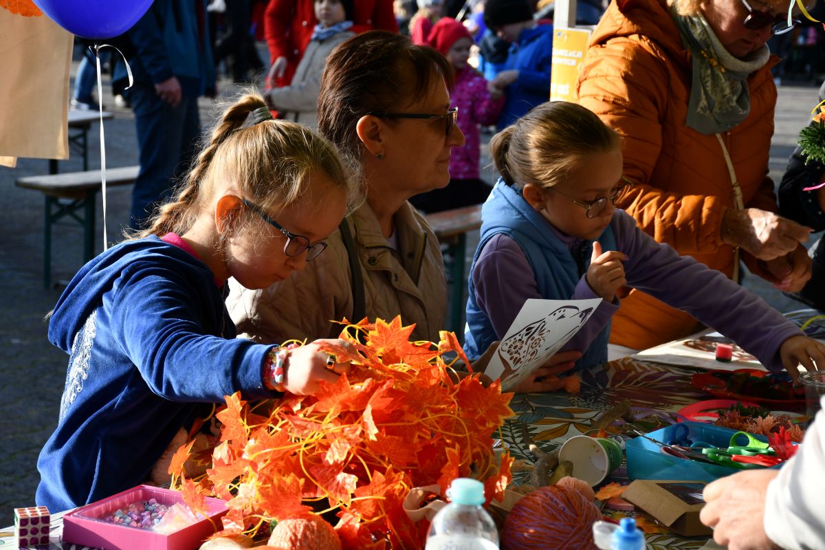 Zwierzogranie i Piknik Organizacji Pozarządowych 31
