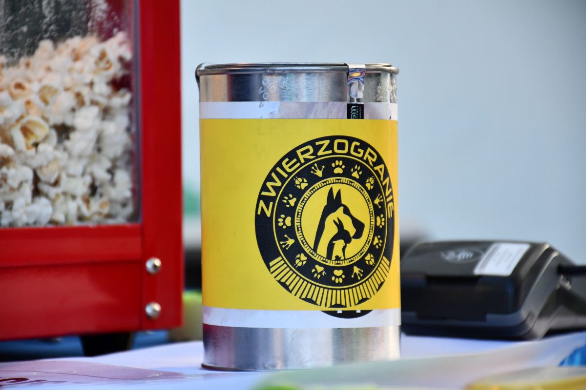 Zwierzogranie i Piknik Organizacji Pozarządowych 33