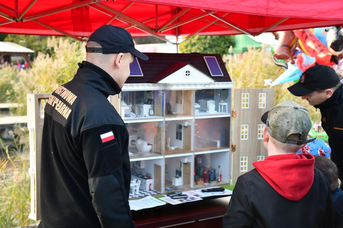 Zwierzogranie i Piknik Organizacji Pozarządowych 35