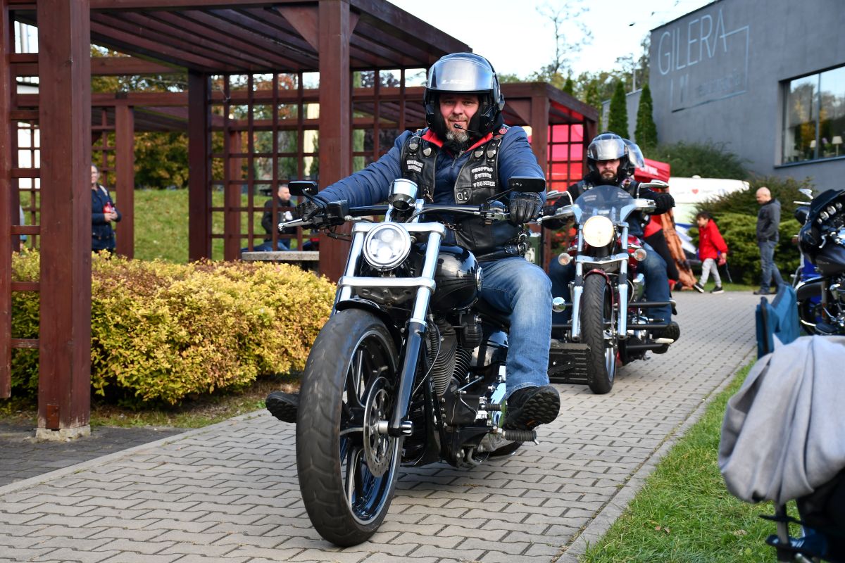 Zwierzogranie i Piknik Organizacji Pozarządowych 36