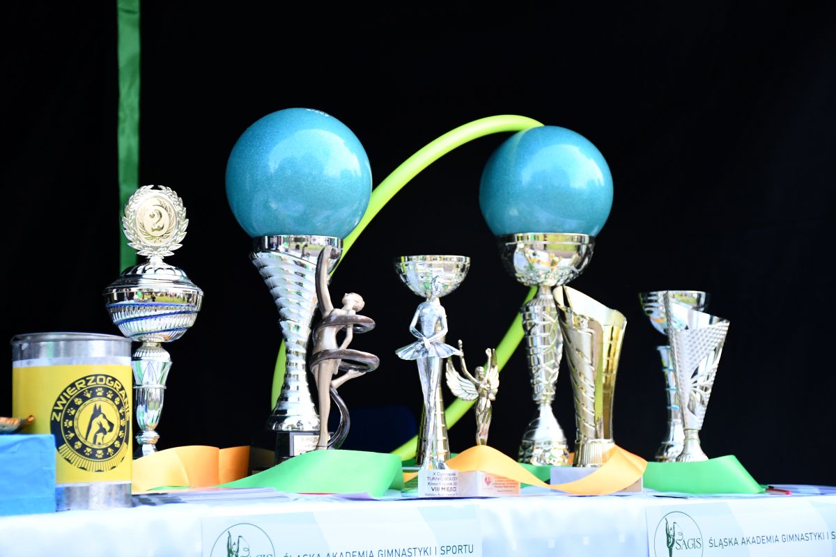 Zwierzogranie i Piknik Organizacji Pozarządowych 38