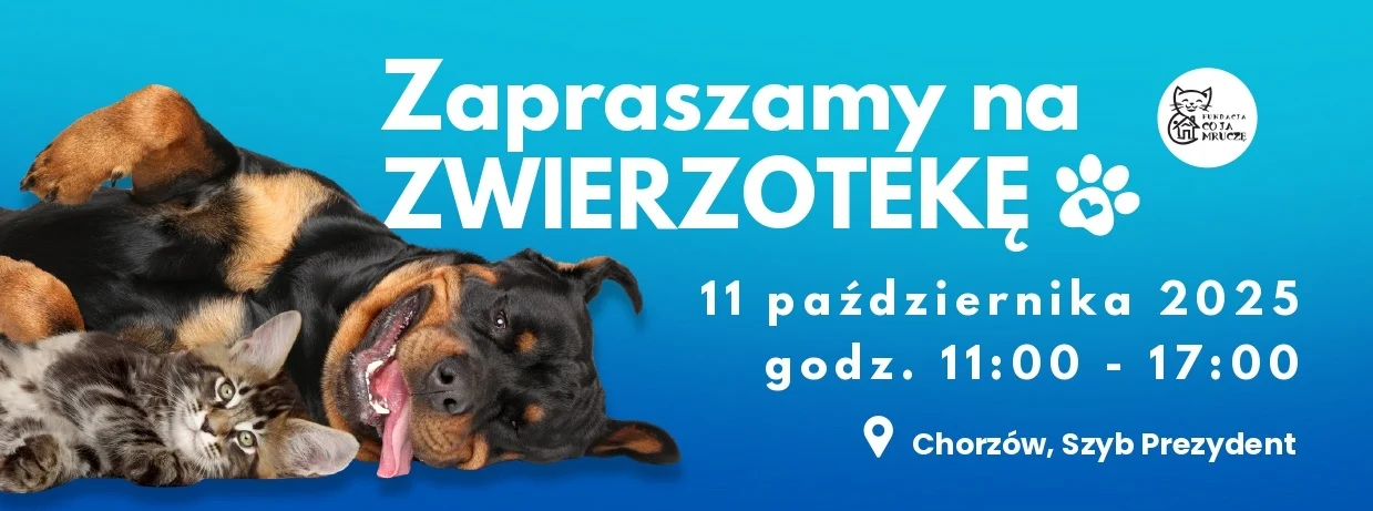Zwierzoteka 2025 w Chorzowie – wydarzenie dla miłośników zwierząt już 11 października