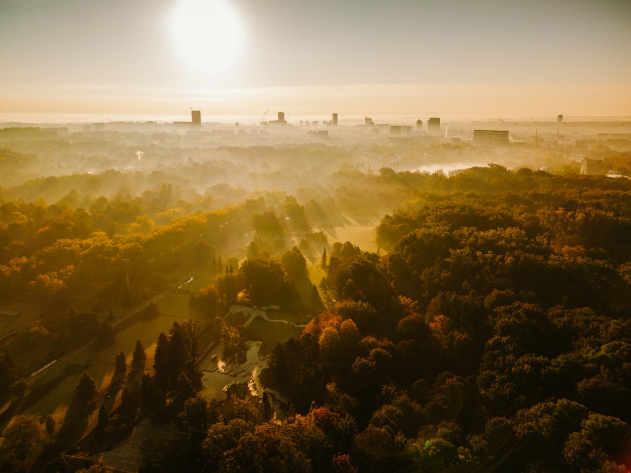 EKOPARK za 160 mln zł w Parku Śląskim – edukacja i ochrona przyrody w jednym