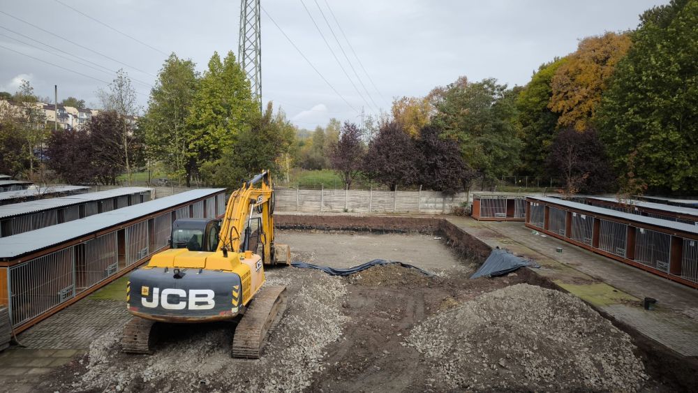 Podczas prac ziemnych na terenie schroniska znaleziono kości