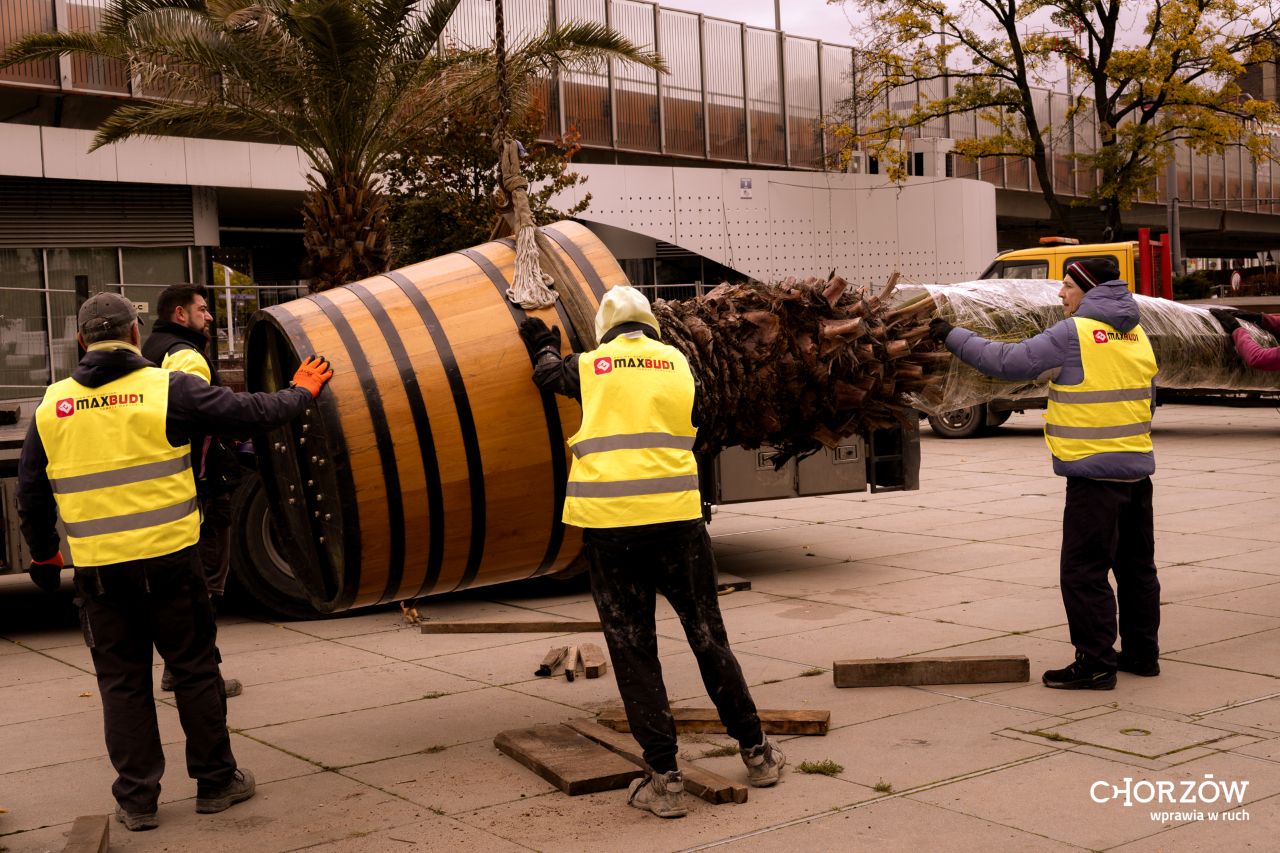 Palmy z chorzowskiego Rynku żegnają się na zimę – wrócą wiosną do Chorzowa!