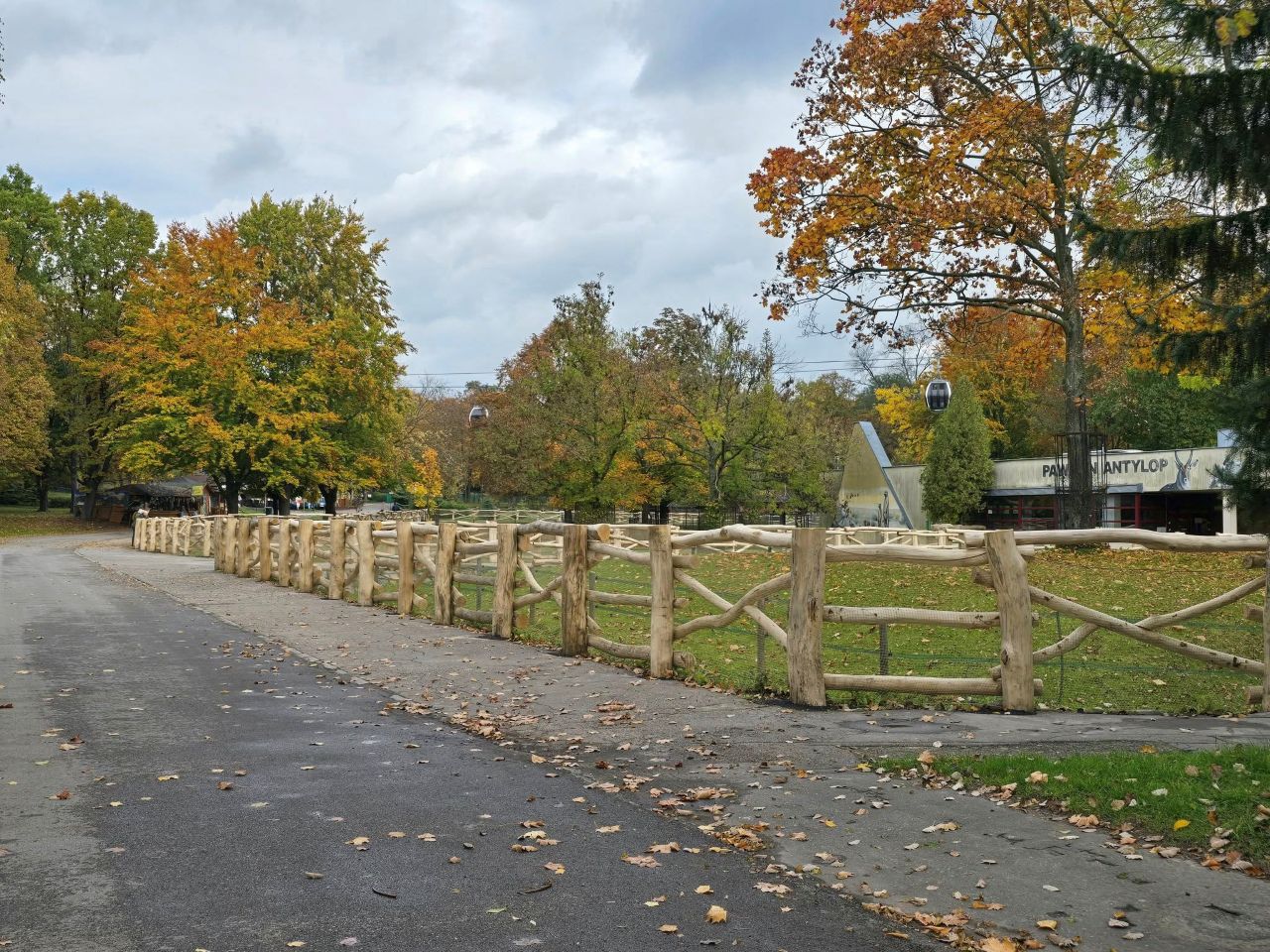 Nowe ogrodzenie w Śląskim Ogrodzie Zoologicznym w Chorzowie – naturalne i efektowne!
