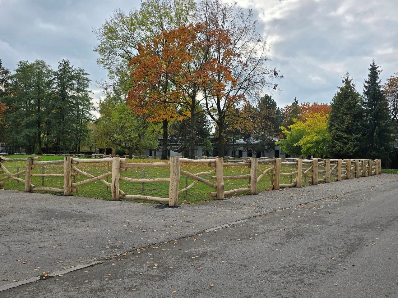 Nowe ogrodzenie w Śląskim Ogrodzie Zoologicznym w Chorzowie – naturalne i efektowne!
