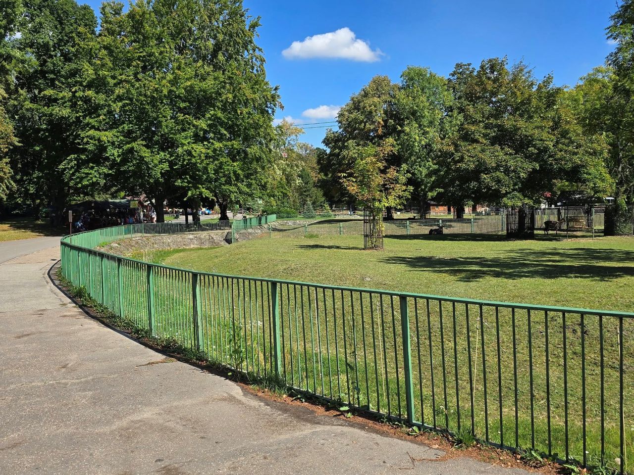 Nowe ogrodzenie w Śląskim Ogrodzie Zoologicznym w Chorzowie – naturalne i efektowne!