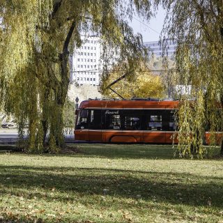 Udogodnienia komunikacyjne na mecz Polska – Nowa Zelandia