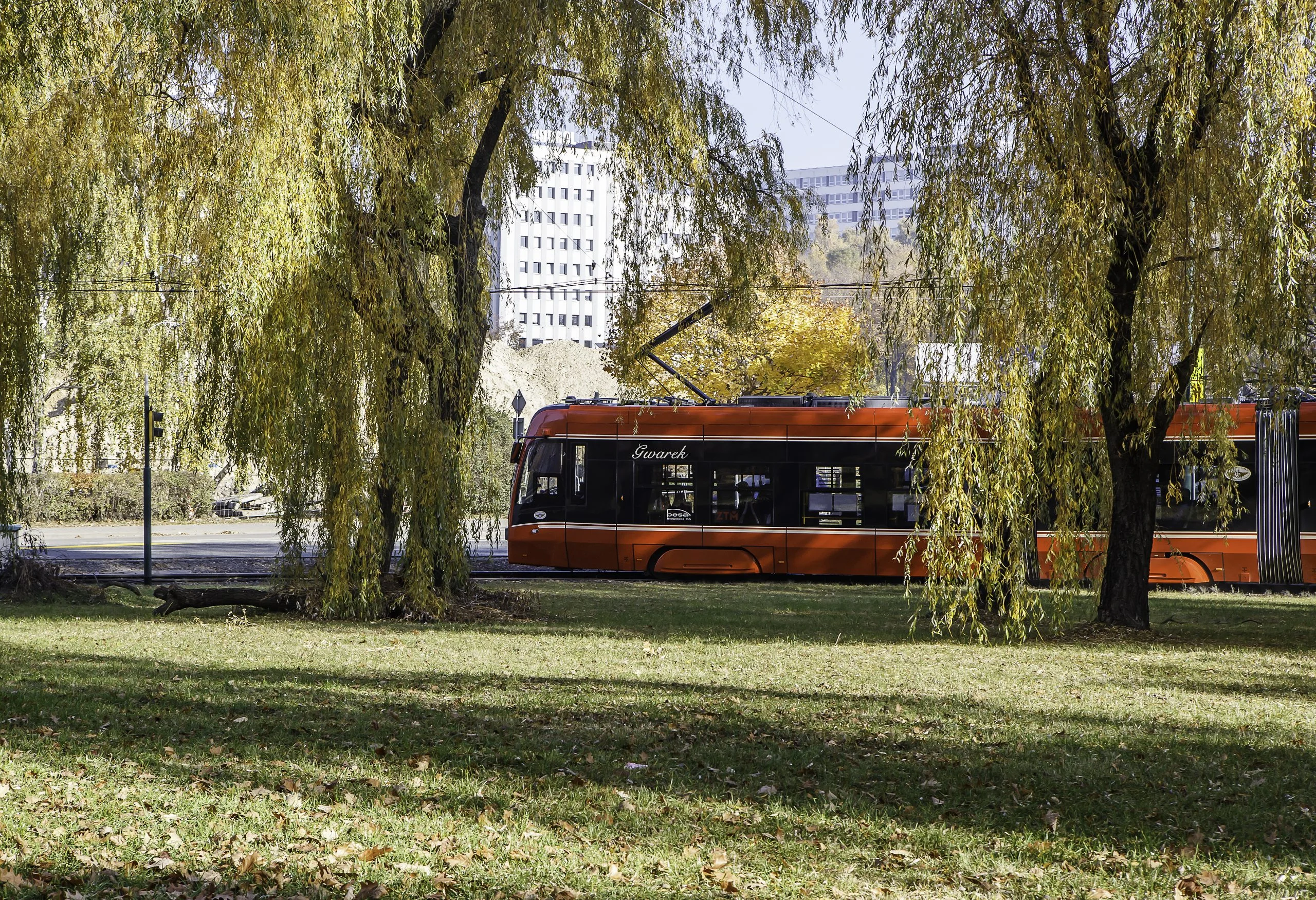 Udogodnienia komunikacyjne na mecz Polska – Nowa Zelandia