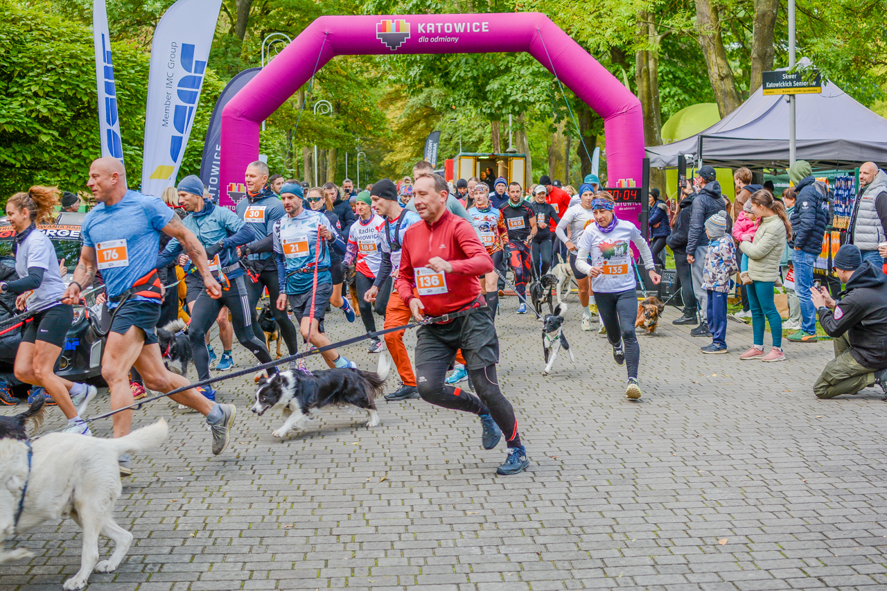 Za nami 9. Katowicki Dzień Psiaka [FOTORELACJA]