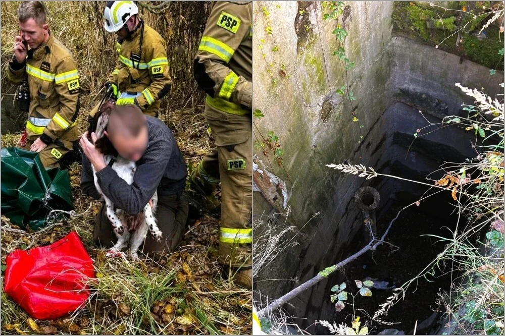 Niezwykła akcja ratunkowa! Pies ocalony z szybu przez strażaków