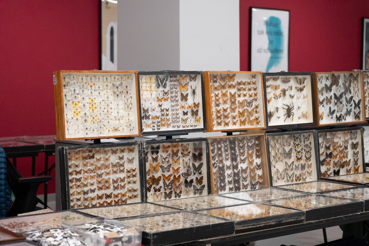 targi entomologiczne-5045.jpg