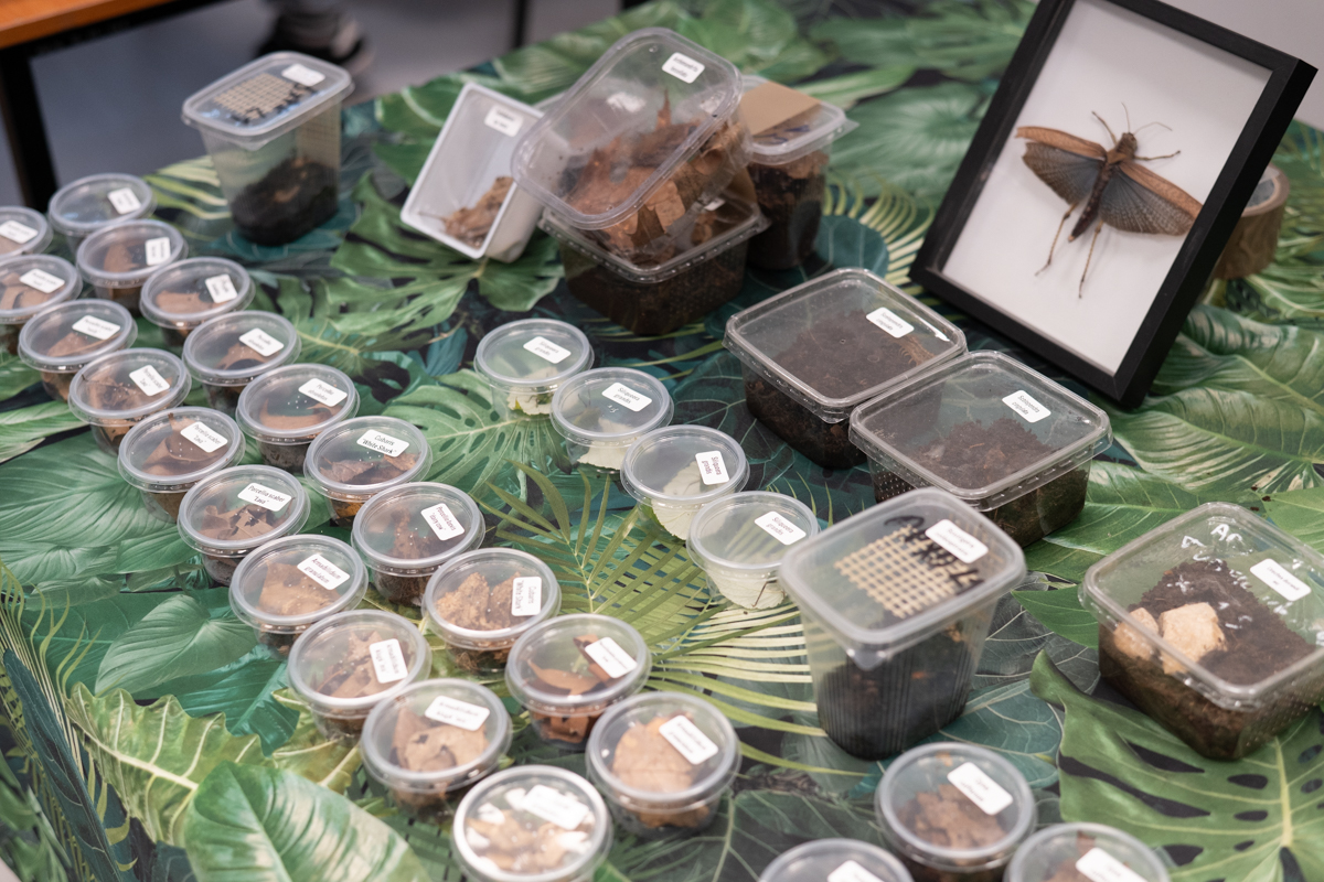 targi entomologiczne-5055.jpg