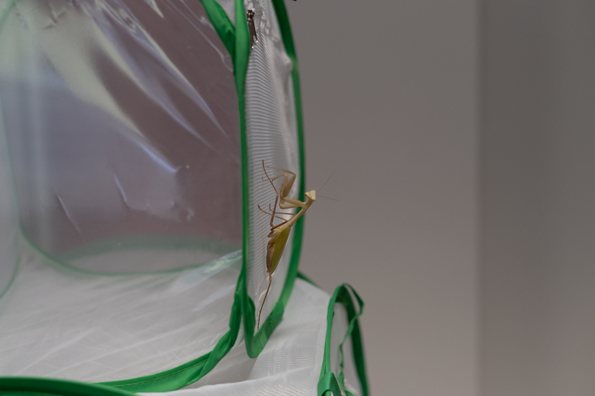 targi entomologiczne-5058.jpg