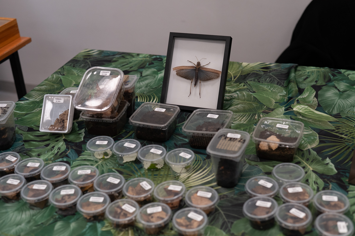 targi entomologiczne-5060.jpg