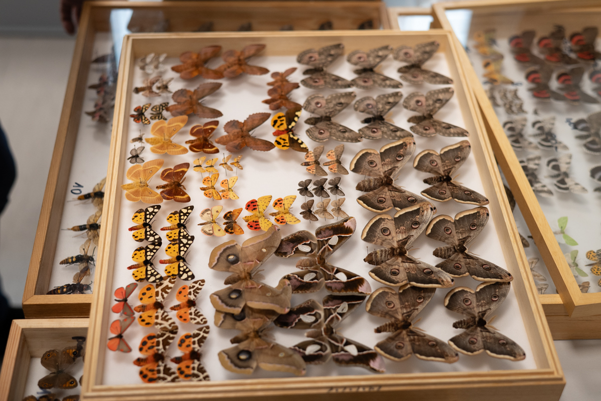 targi entomologiczne-5061.jpg