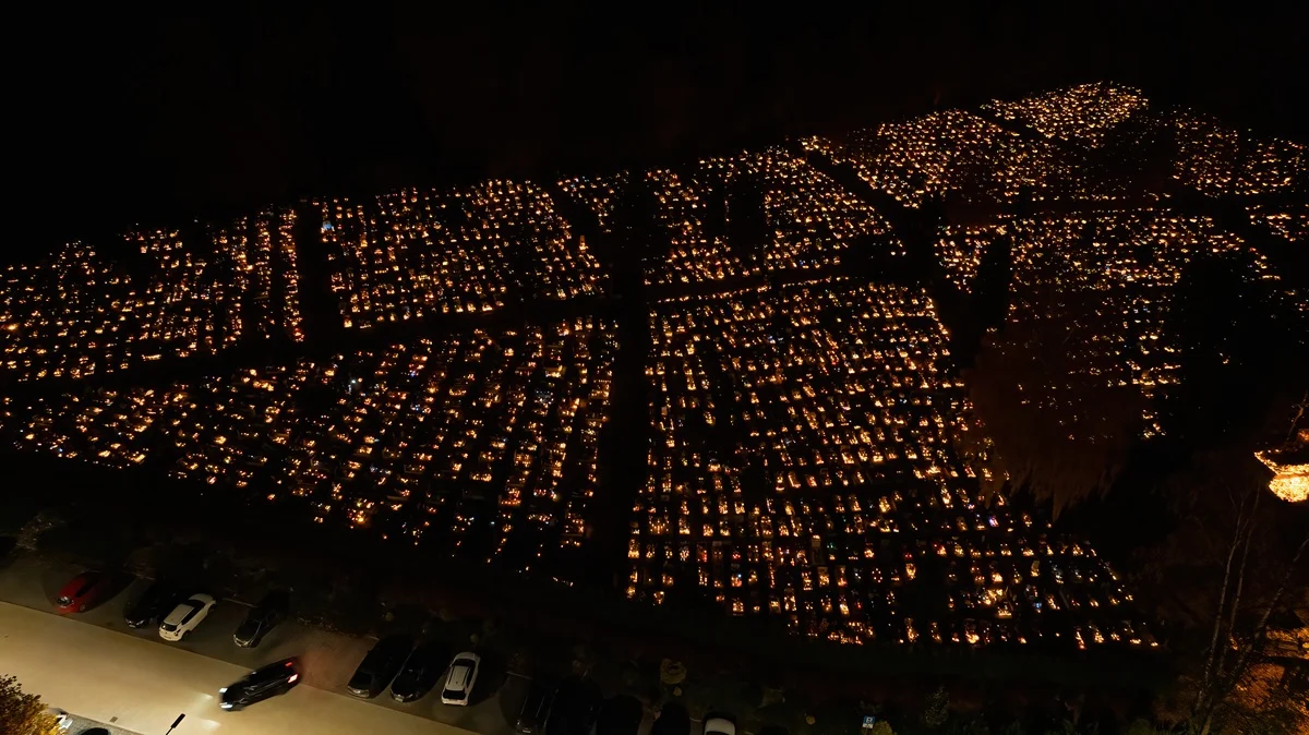 "Alfabet maturzysty" w liczbach. Projekt Sosnowca z Uniwersytetem Śląskim