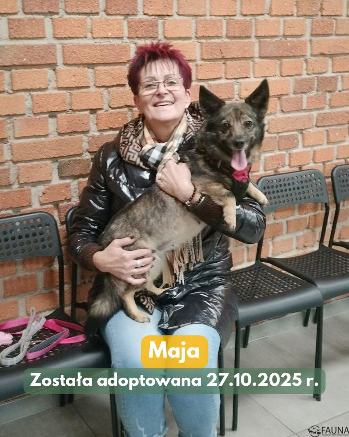 adopcje 6