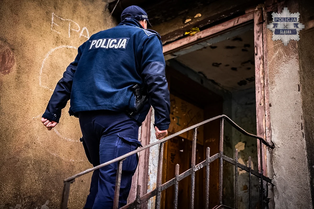 Zima bez obojętności: jeden telefon może uratować życie