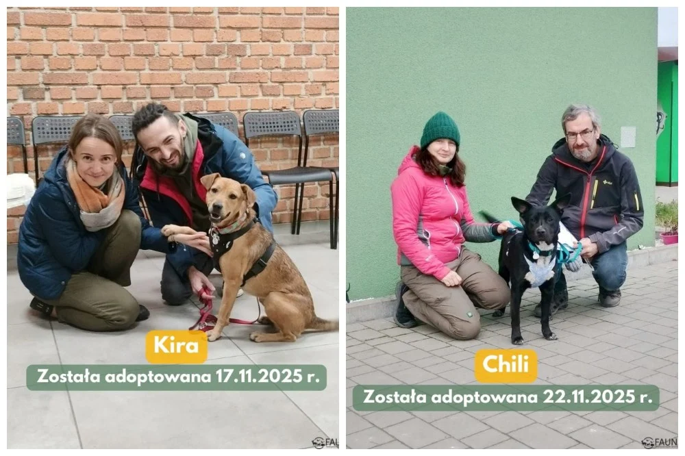 Kolejne czworonogi z „Fauny” w nowych domach!