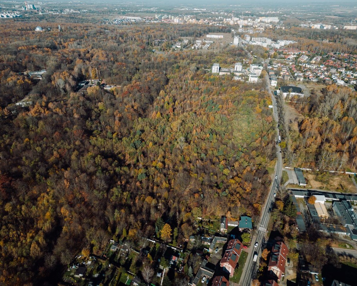 W Parku Śląskim powstanie Arboretum – nowa przestrzeń przyrodnicza już w 2027 roku