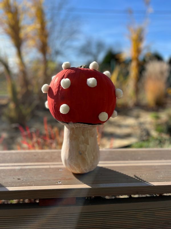 Jesienna magia w Przedszkolu nr 1. Dyniowa kraina, zabawy i tańce w Orzeszu /fot. UM Orzesze