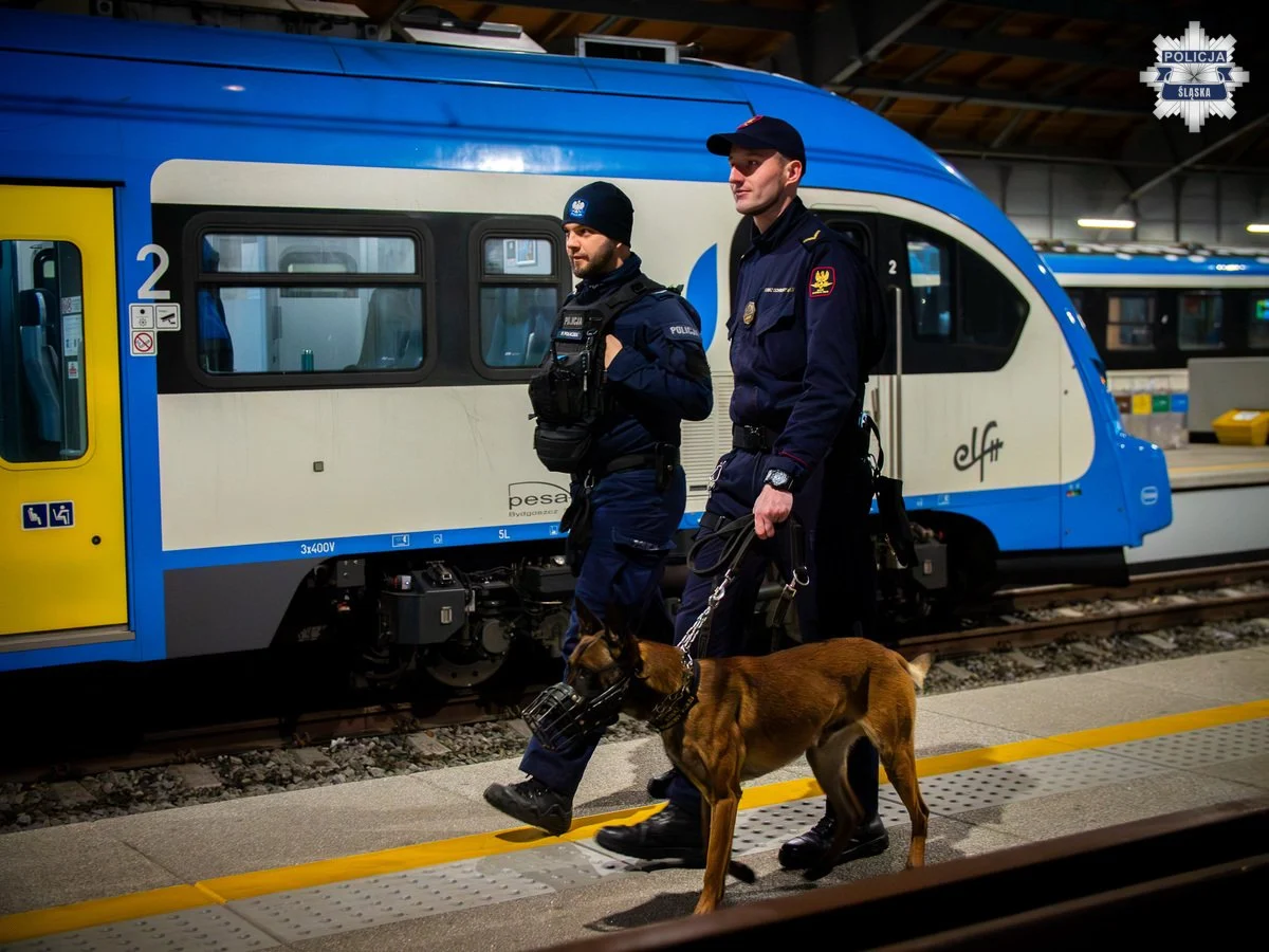 Policyjna operacja "TOR" w województwie śląskim