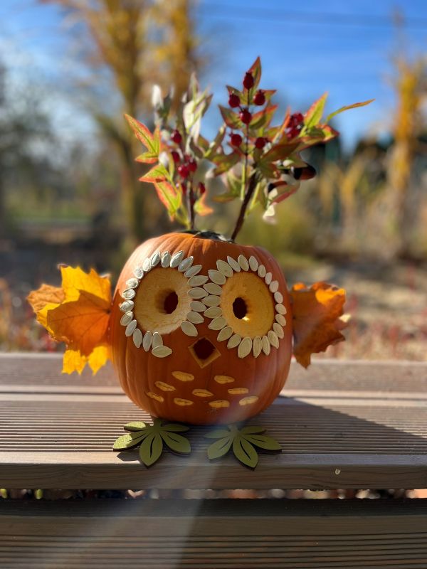 Jesienna magia w Przedszkolu nr 1. Dyniowa kraina, zabawy i tańce w Orzeszu /fot. UM Orzesze