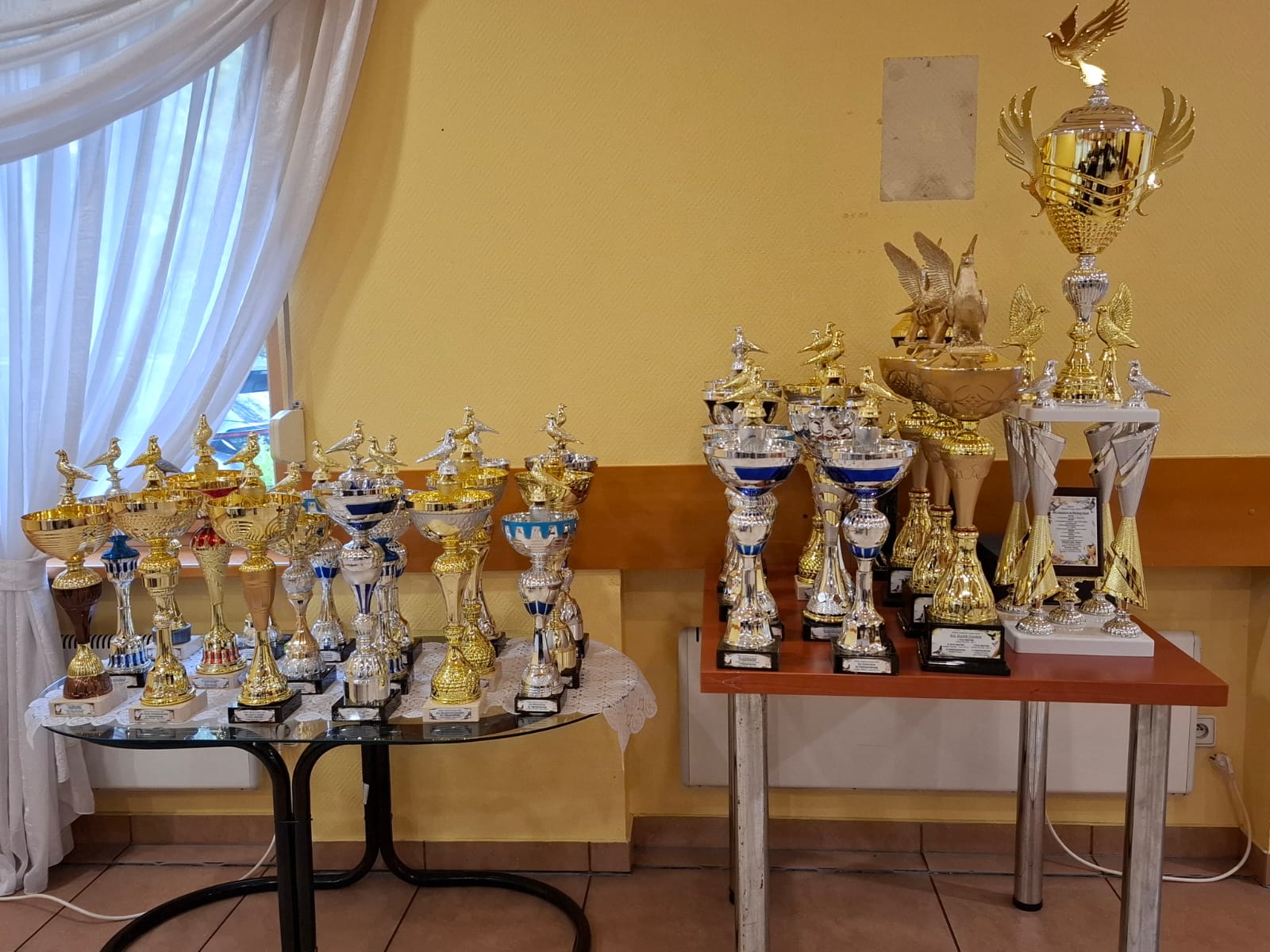 574497313_1120230056989704_300214010994524590_n