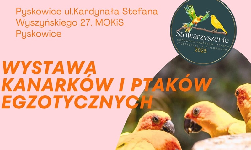 Wystawa kanarków i ptaków egzotycznych w Pyskowicach – atrakcje dla całych rodzin