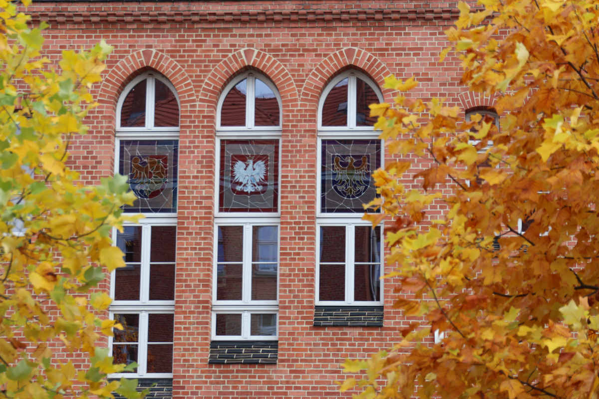 Godziny pracy Urzędu Miasta Wodzisławia Śląskiego w piątek, 21 listopada 2025 r.