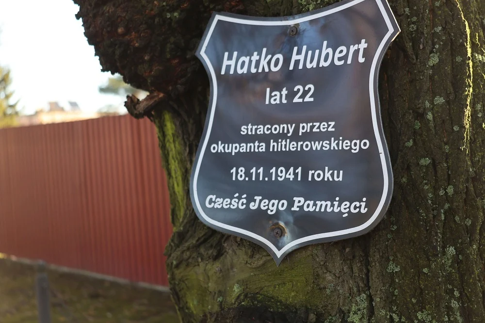 Pamięć o Bohaterach Piekarskiego Harcerstwa – Hubert Hatko, Józef Hadaś, Teodor Toma