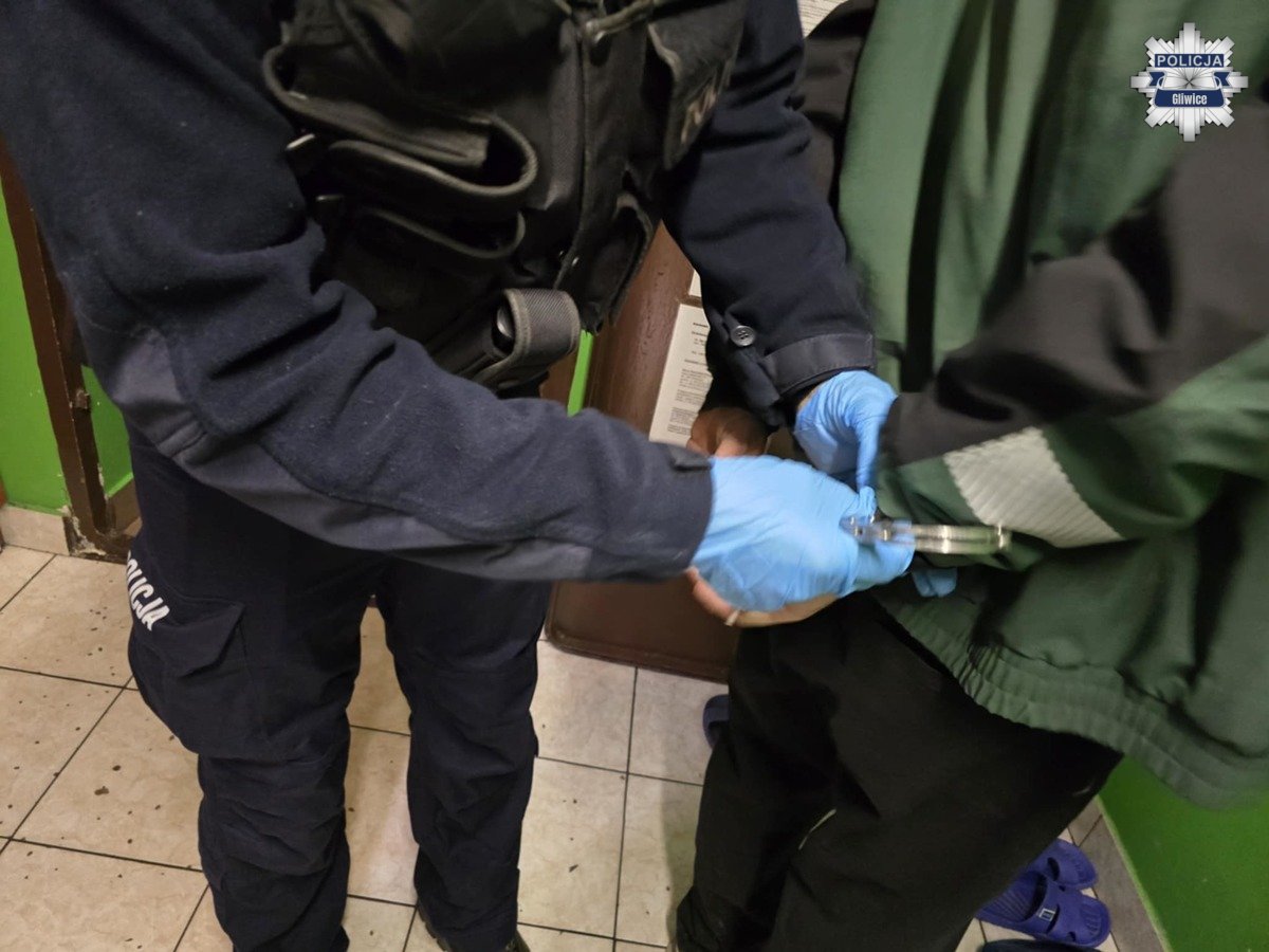 Policyjna akcja „Poszukiwany” – 11 zatrzymanych na terenie Gliwic