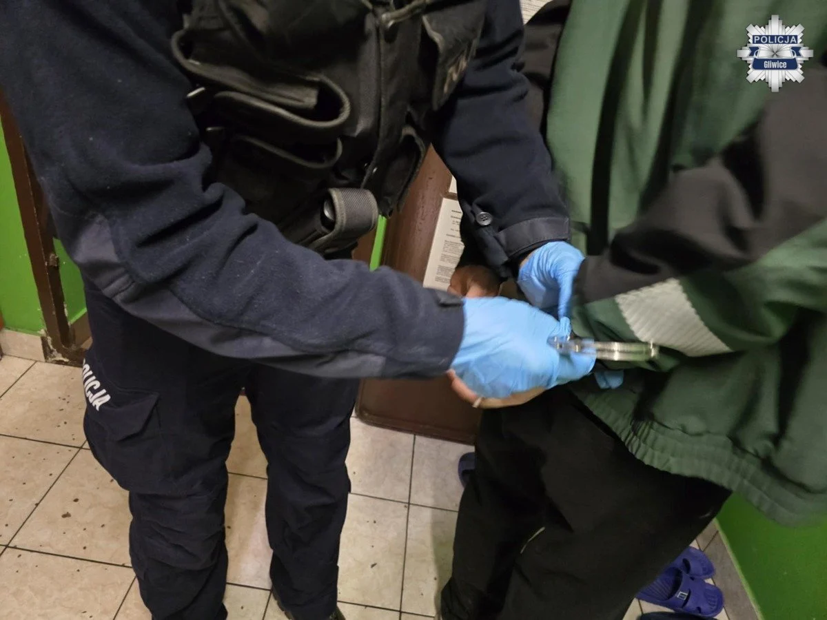 Policyjna akcja „Poszukiwany” – 11 zatrzymanych na terenie Gliwic