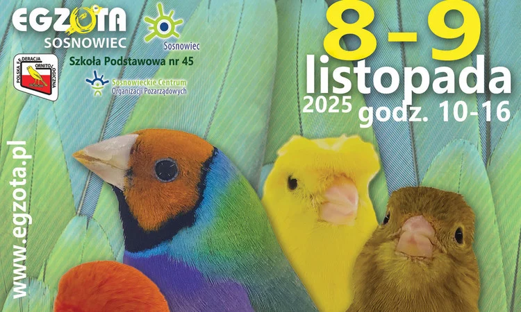 Ornitologiczne Mistrzostwa Sosnowca: wystawa kanarków i ptaków egzotycznych 8-9 listopada