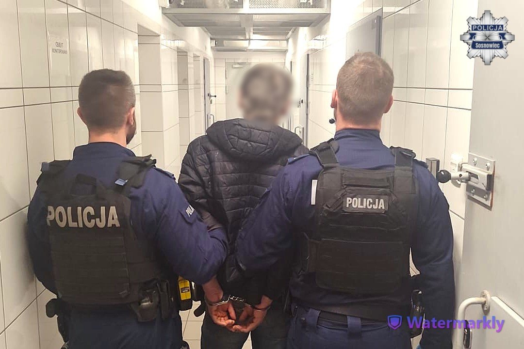 Sosnowiec: policja zatrzymała 10 poszukiwanych i ujawniła nielegalną imigrantkę