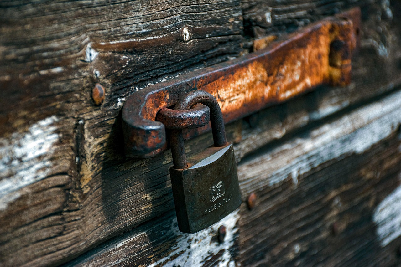 Uważaj na złodziei na ogródkach działkowych – policja apeluje o ostrożność jesienią