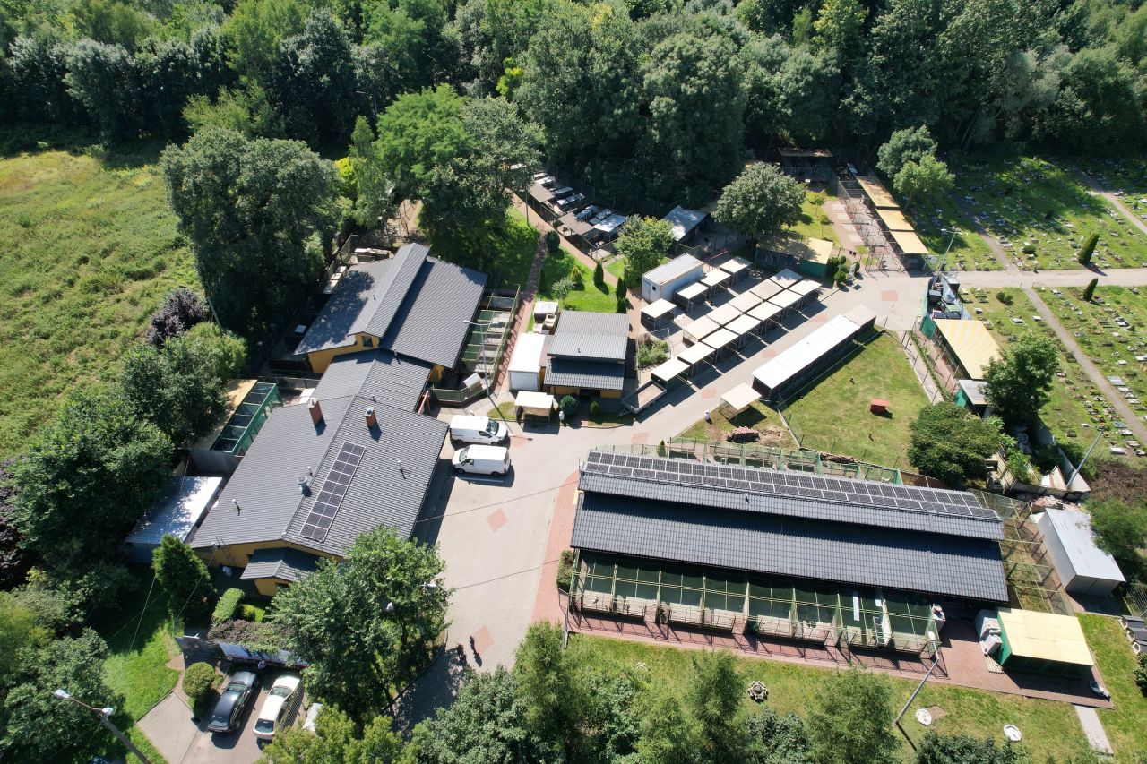 Kontrola w schronisku w Miechowicach: dobrostan zwierząt zachowany, obiekt do modernizacji