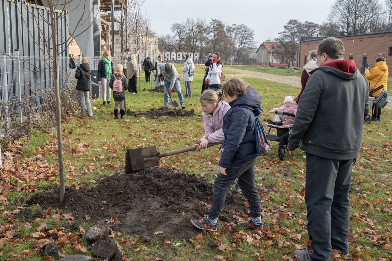 Harcerze świętują 100-lecie hufca, sadząc 100 drzew na pamiątkę
